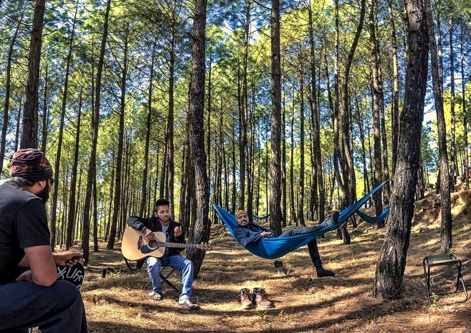 Photo of Most Relaxing Vacation you can ever have in the Hills... 1/1 by ritika gaur