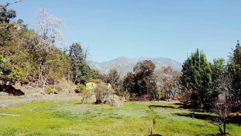 Photo of Heart of Travelers amidst lush green Forests 1/9 by ritika gaur