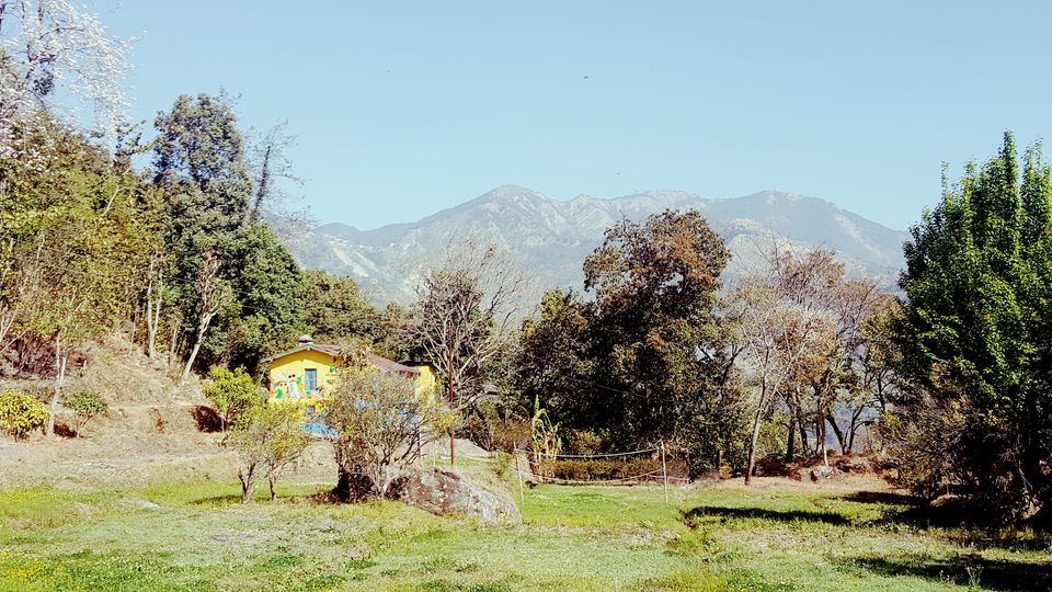 Photo of Heart of Travelers amidst lush green Forests 3/9 by ritika gaur