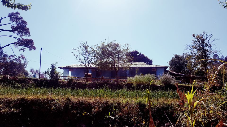 Photo of Heart of Travelers amidst lush green Forests 5/9 by ritika gaur