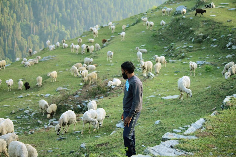 Photo of Bairagarh - An Unexpected Find in Himachal by tollfreetraveller