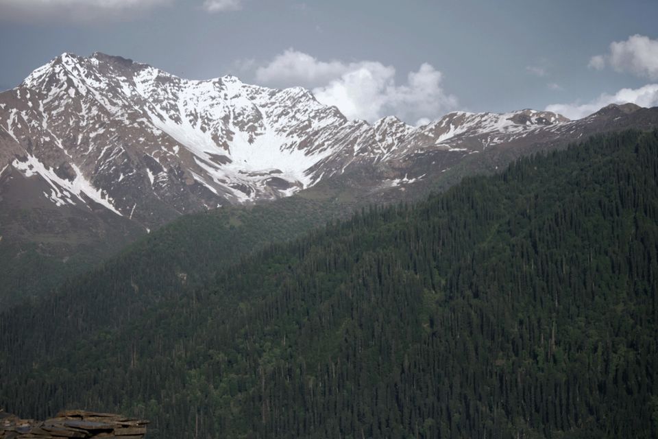 Photo of Bairagarh - An Unexpected Find in Himachal by tollfreetraveller