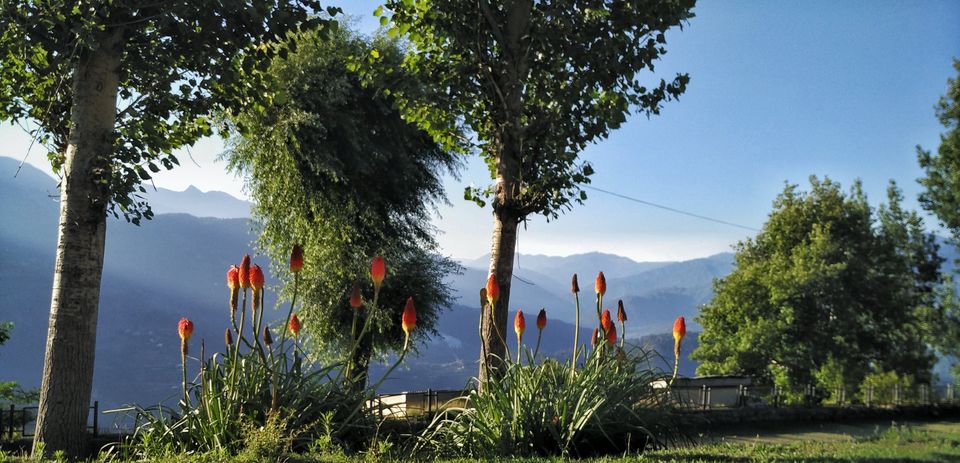 Photo of 3 States in 1 Day - Himachal to J&K, through Punjab by tollfreetraveller