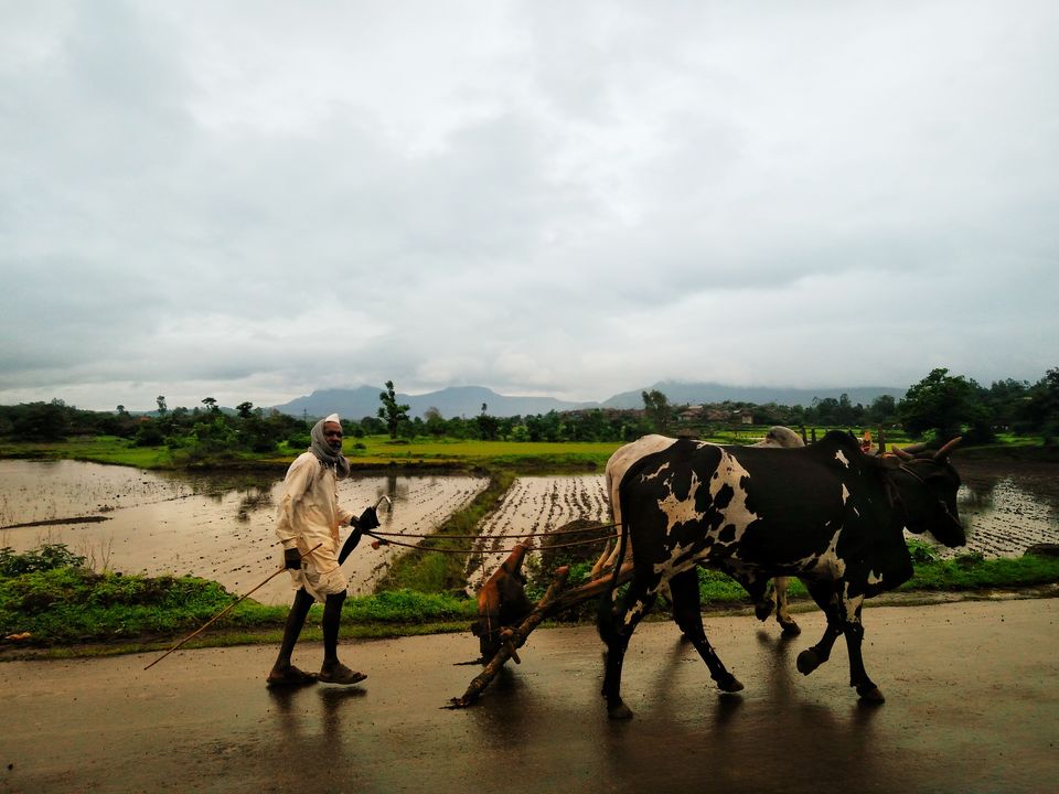 Photo of Mumbai To Pune: An Offbeat Route That Is Every Road-tripper's Dream by tollfreetraveller