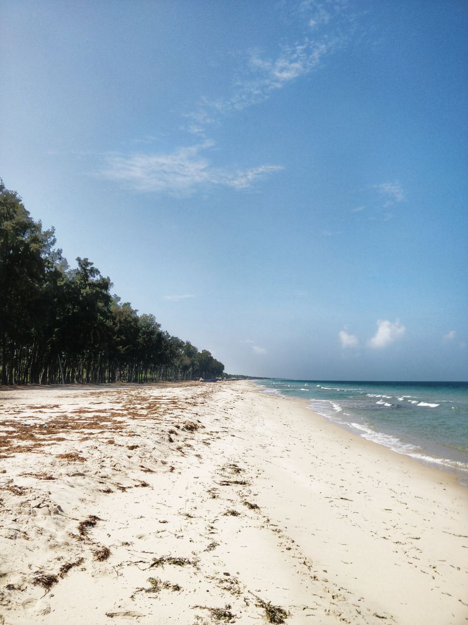 Photo of Exploring the East Coast Road - Chennai to Kanyakumari by tollfreetraveller