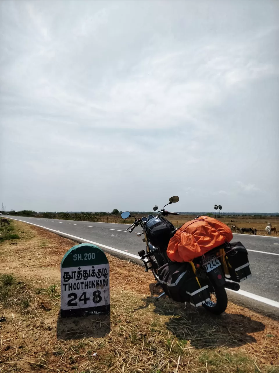 Photo of Exploring the East Coast Road - Chennai to Kanyakumari by tollfreetraveller