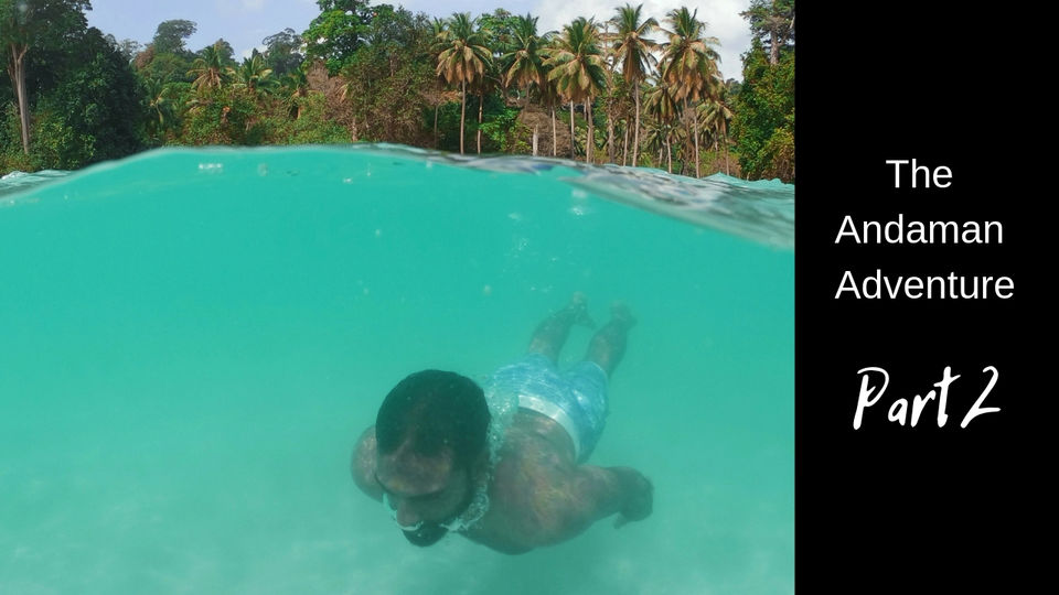 Photo of Long Island - Paradise in the Andamans by tollfreetraveller