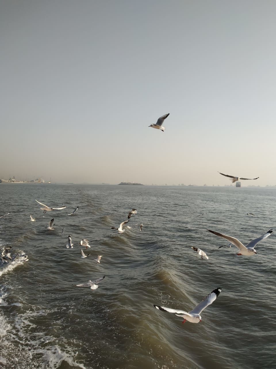 Photo of Gateway Of India Mumbai, Apollo Bandar, Colaba, Mumbai, Maharashtra, India by Aishwarya Sawe