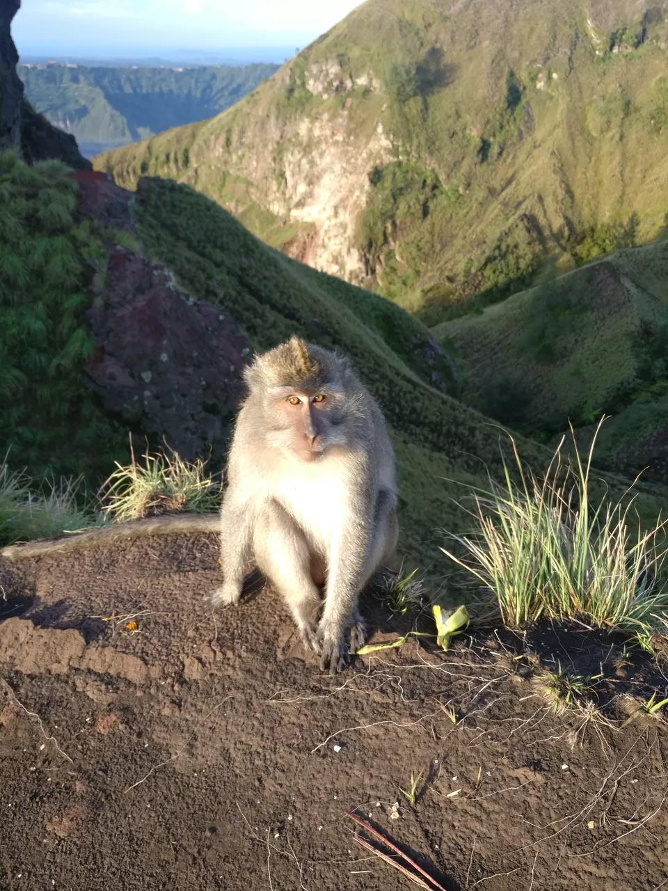 Photo of Mt Batur - hiking an active volcano! by Neha Kothari