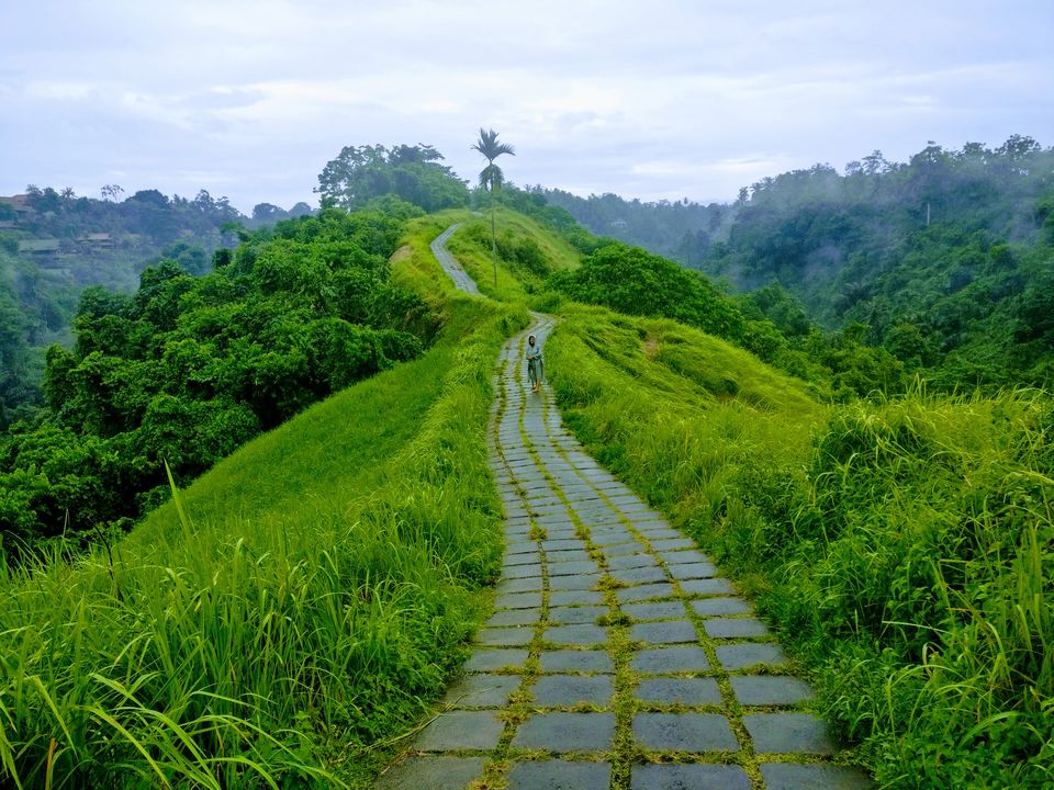 Photo of Campuhan Ridge walk - Ubud, Bali. Free activity , priceless experience ! by Neha Kothari