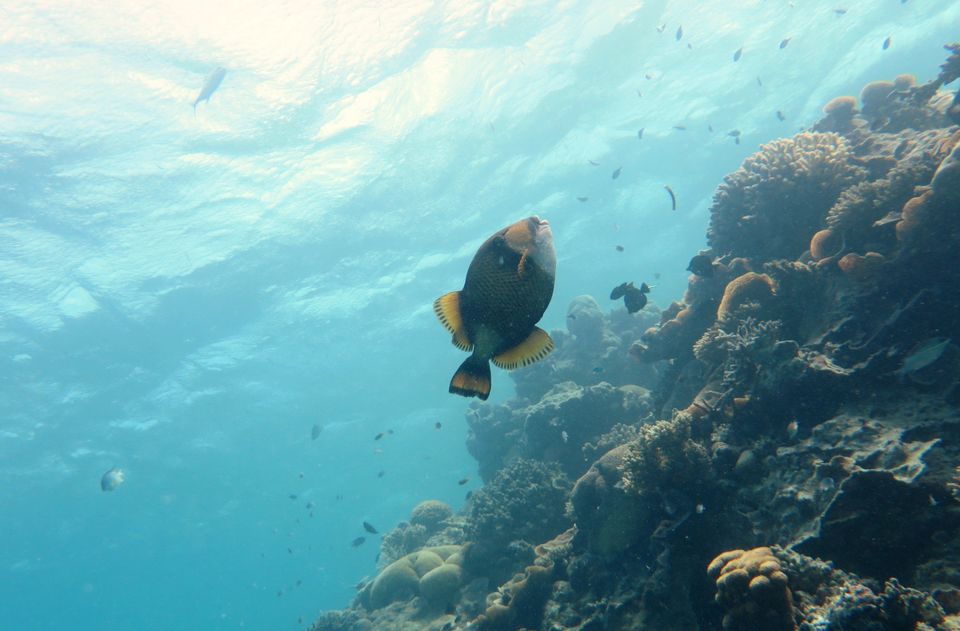 Photo of Postcards from Maldives! by Subhayan Bhattacharyya