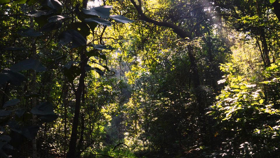 Photo of Yellapur, Karnataka, India by Subhayan Bhattacharyya