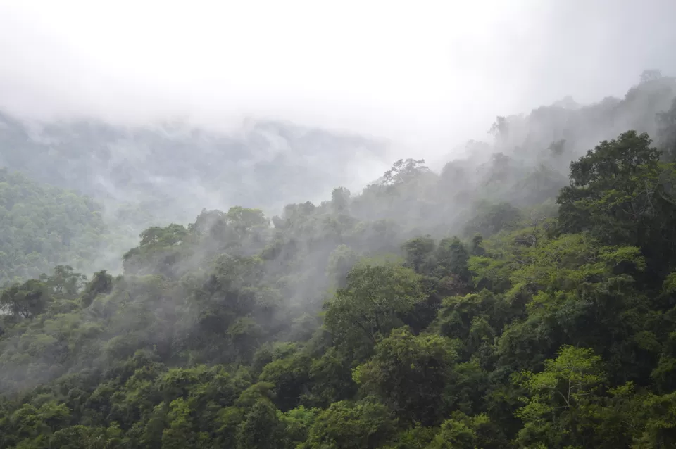 Photo of Dudhsagar Falls, Sonaulim, Goa, India by Subhayan Bhattacharyya