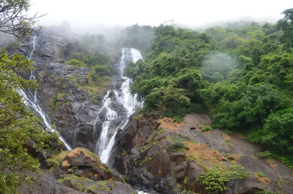 Photo of Dudhsagar Falls, Sonaulim, Goa, India by Subhayan Bhattacharyya