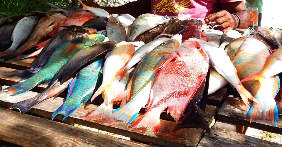 Photo of Sir Selwyn Selwyn-Clarke Market. Victoria Market, Victoria, Seychelles by Subhayan Bhattacharyya