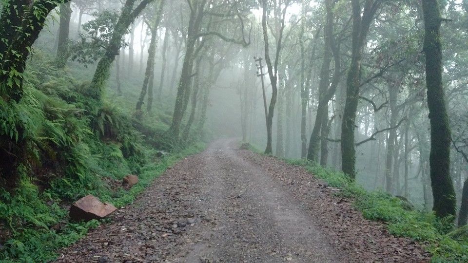 Photo of PANGOT: Hidden Gem of Nainital by Nidhi