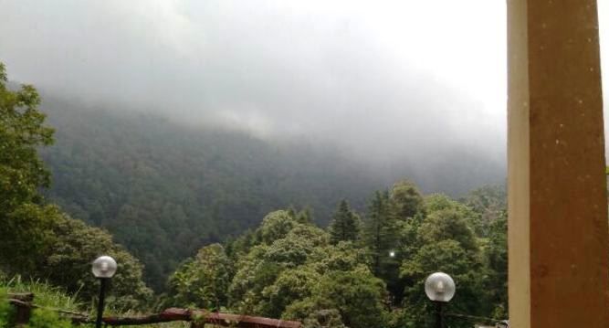 Photo of Pangot, Uttarakhand, India by Nidhi