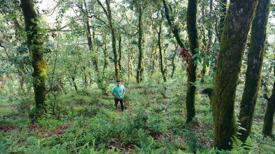 Photo of PANGOT: Hidden Gem of Nainital by Nidhi