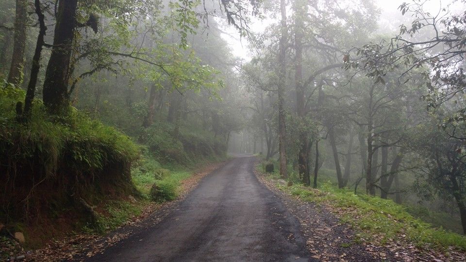 Photo of PANGOT: Hidden Gem of Nainital by Nidhi