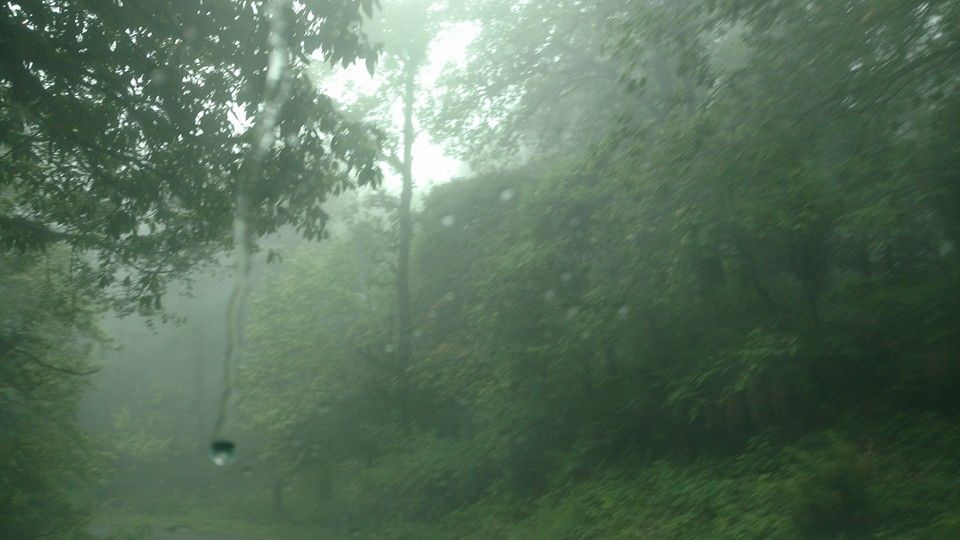 Photo of PANGOT: Hidden Gem of Nainital by Nidhi