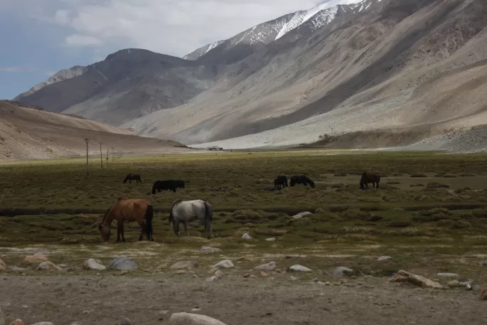 Photo of Changthang Cold Desert Wildlife Sanctuary, Erad by Arnav Deshpande