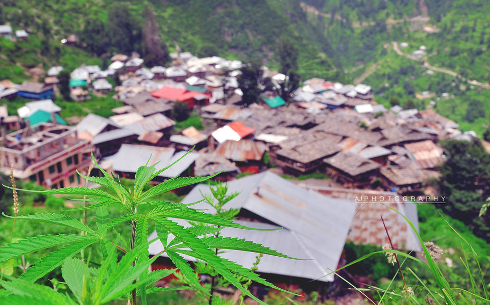 Photo of Malana, Himachal Pradesh, India by Mohini Chauhan