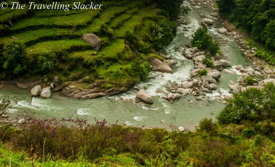 Photo of Barot, Himachal Pradesh, India by Mohini Chauhan