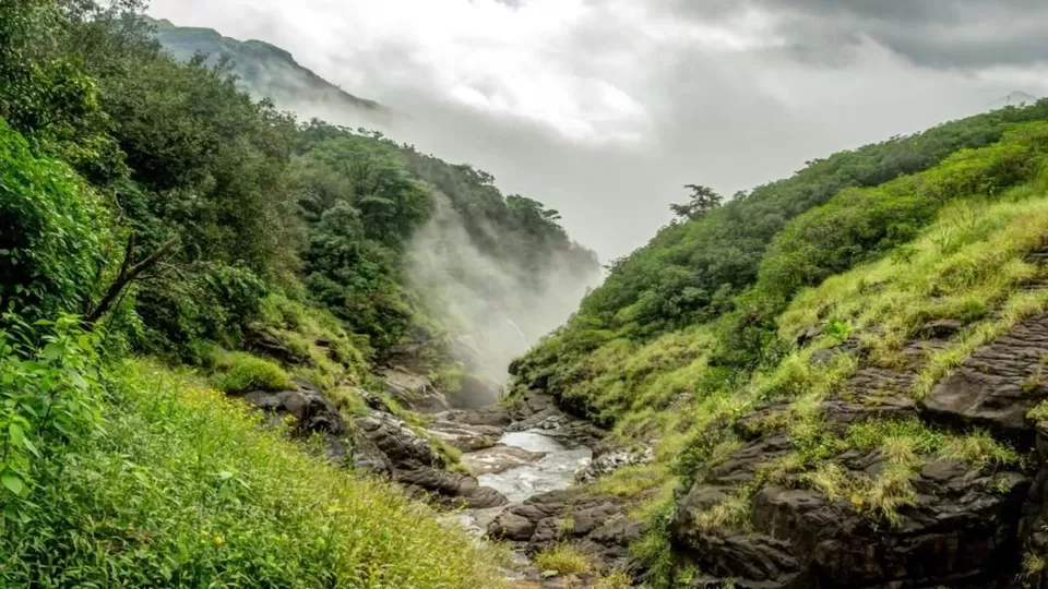 Photo of Andharban Trail start point, Pimpri, Maharashtra, India by Mohini Chauhan