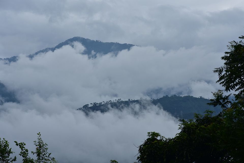 Photo of 5 Treks You Must Plan In Sahyadris If You Love Monsoons And Mountains by Mohini Chauhan