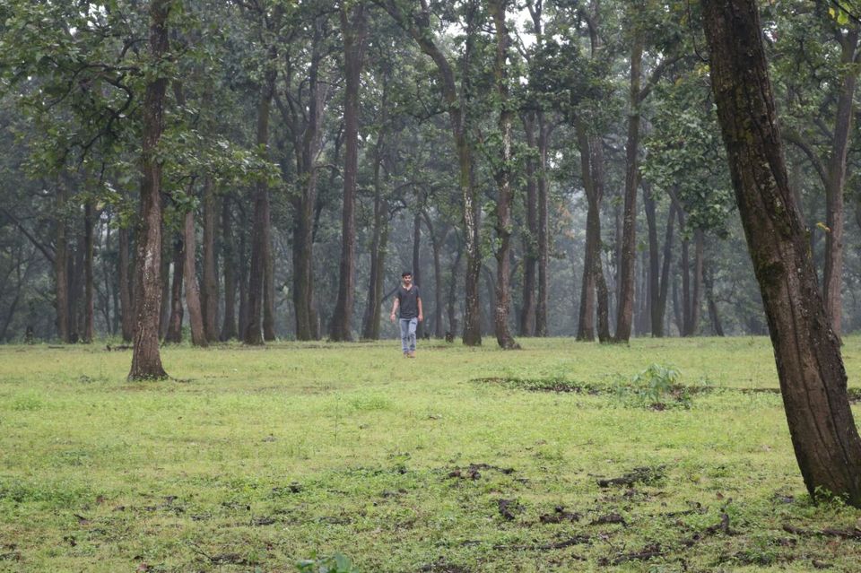 Photo of Mainpat, Chhattisgarh, India by Shakti Shiv