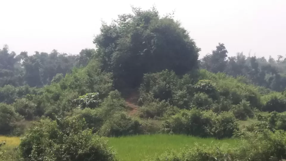 Photo of Gar Panchkot, West Bengal, India by Shweta Mitra