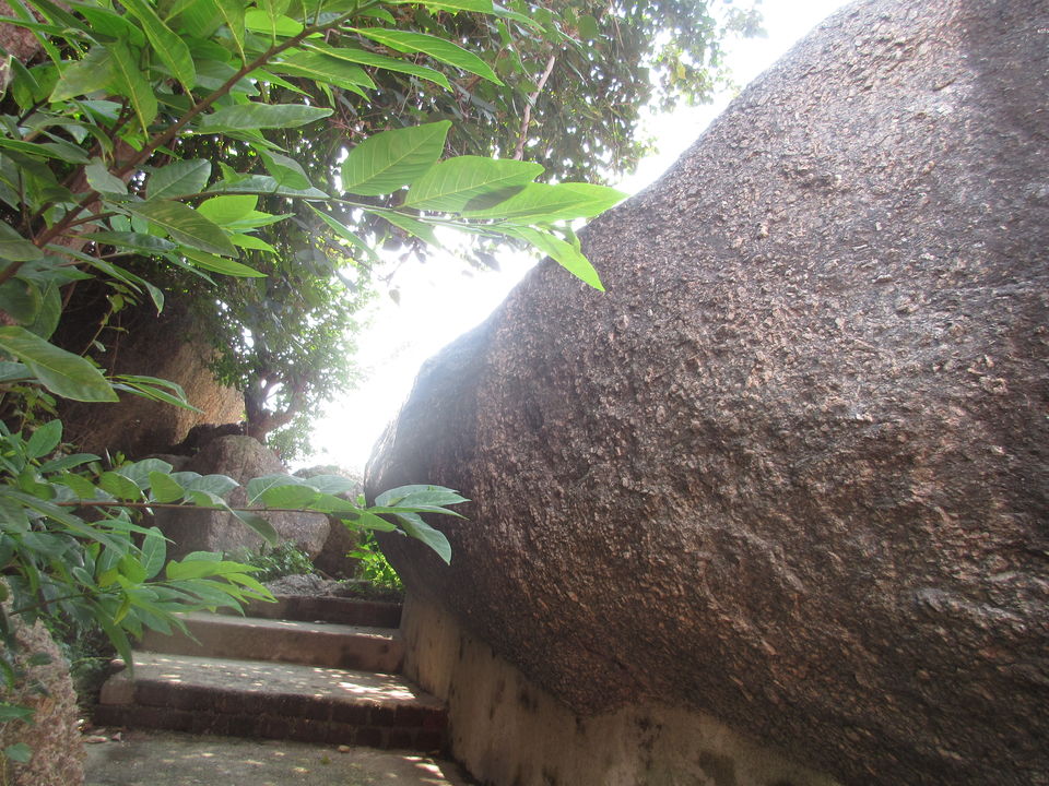 Photo of IN THE LAND OF DIAMOND KING by Shweta Mitra