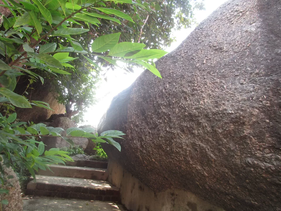 Photo of IN THE LAND OF DIAMOND KING by Shweta Mitra