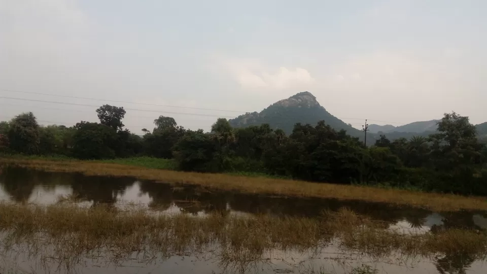 Photo of IN THE LAND OF DIAMOND KING by Shweta Mitra