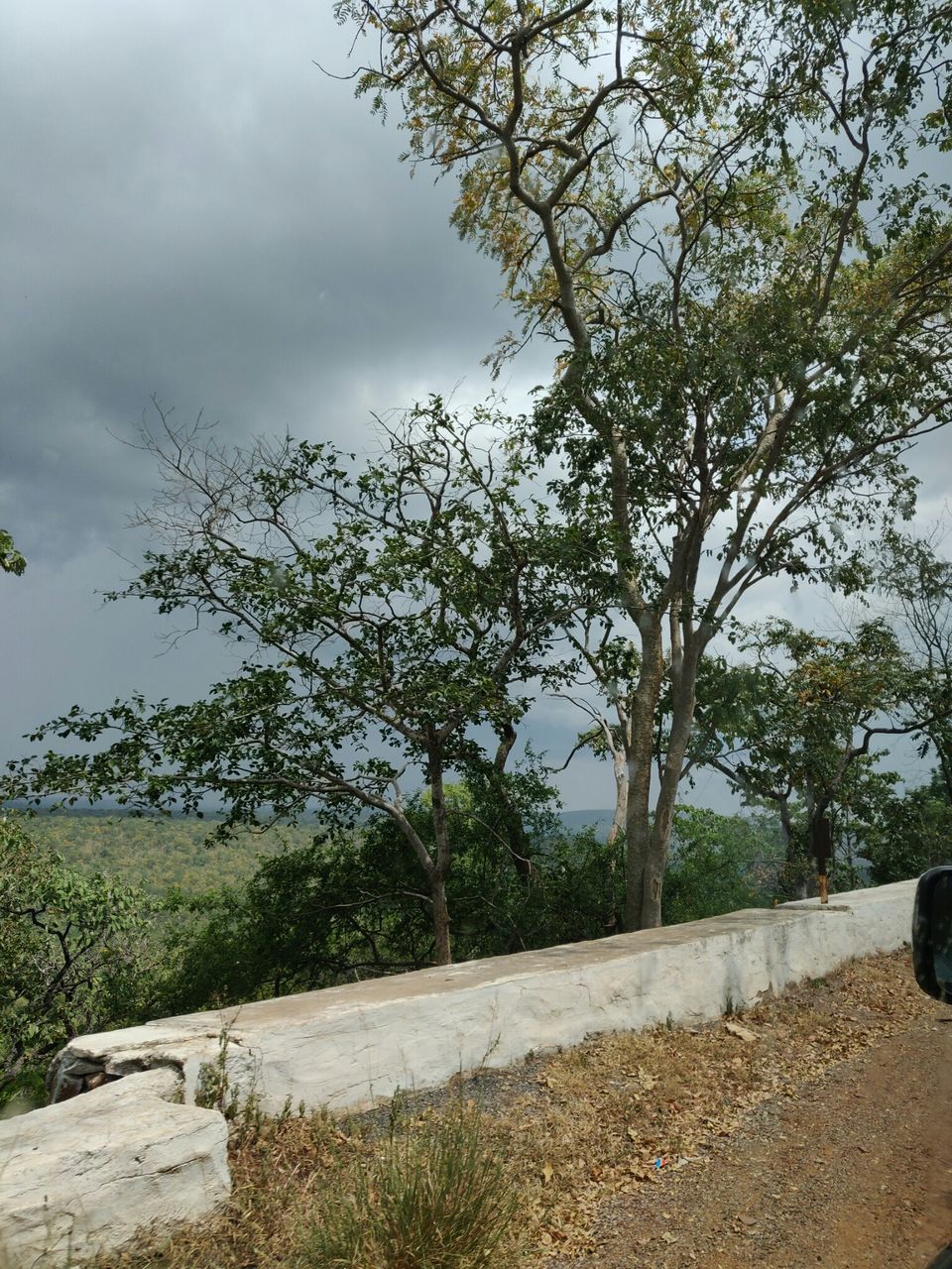 Photo of Nallamala Forest, Andhra Pradesh, India by Pooja Jaggari