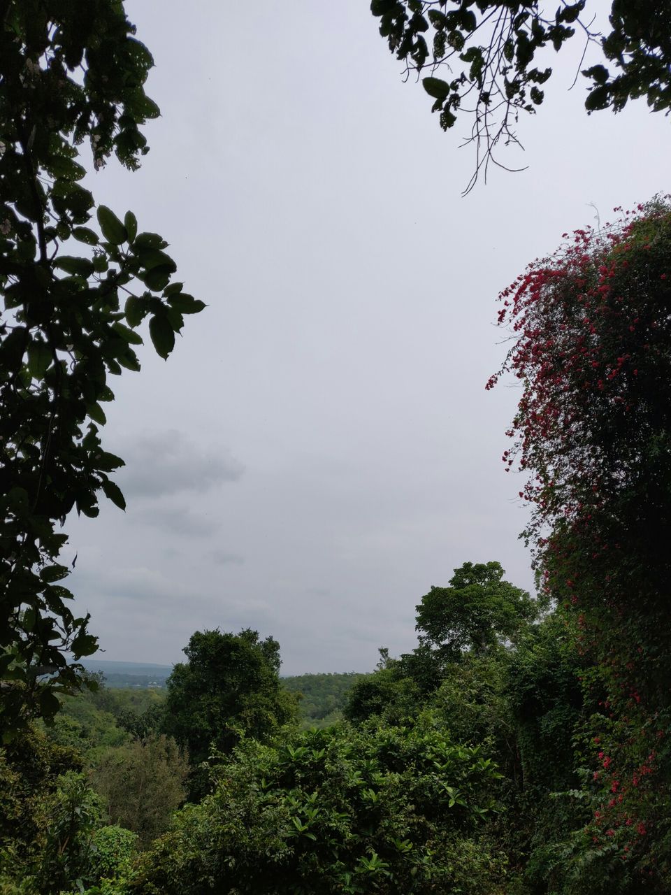 Photo of Phaladhara-Panchadhara, Srisailam, Andhra Pradesh, India by Pooja Jaggari