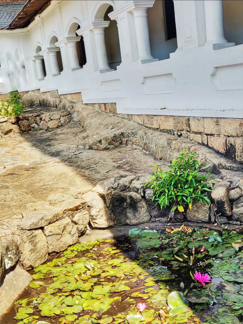 Photo of Dambulla Cave Temple, Kandy - Jaffna Highway, Dambulla, Sri Lanka by The Travel Pundit