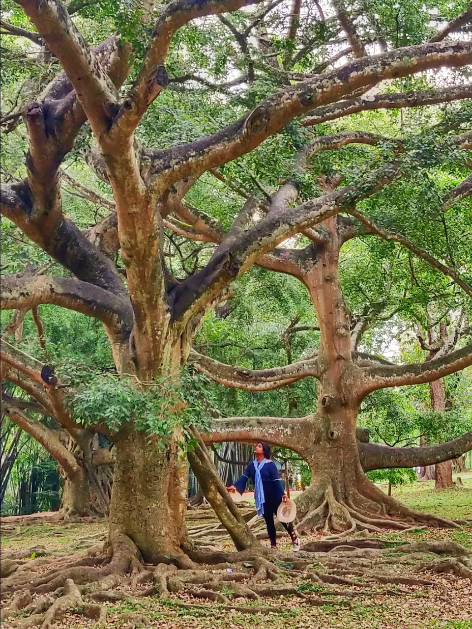 Photo of Kandy, Sri Lanka by The Travel Pundit