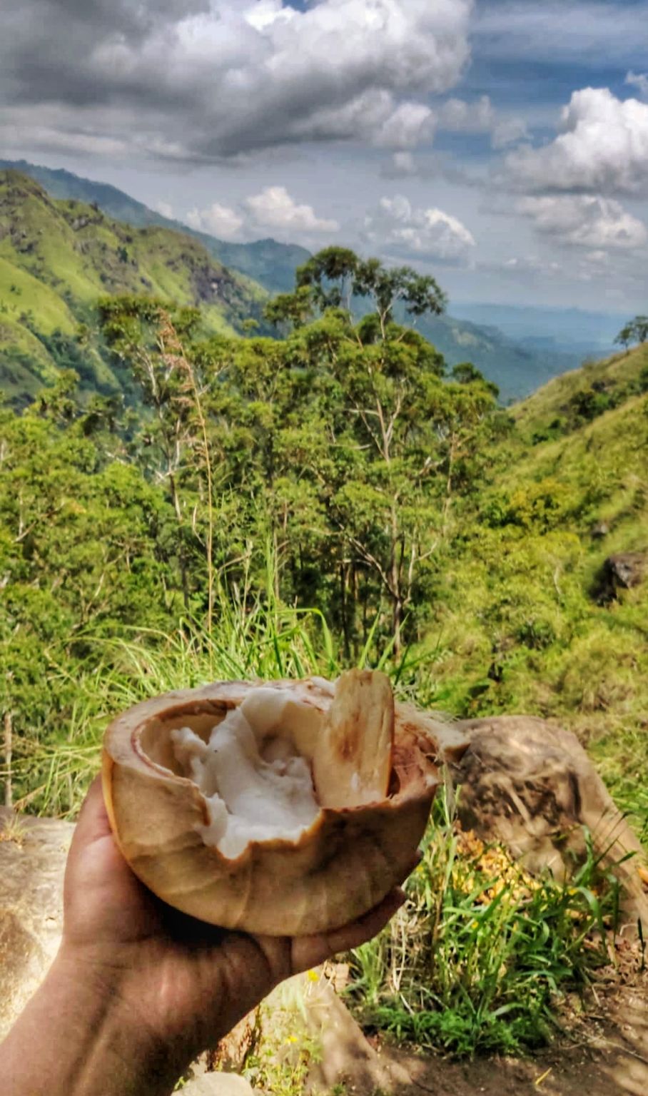 Photo of Nuwara Eliya, Sri Lanka by The Travel Pundit
