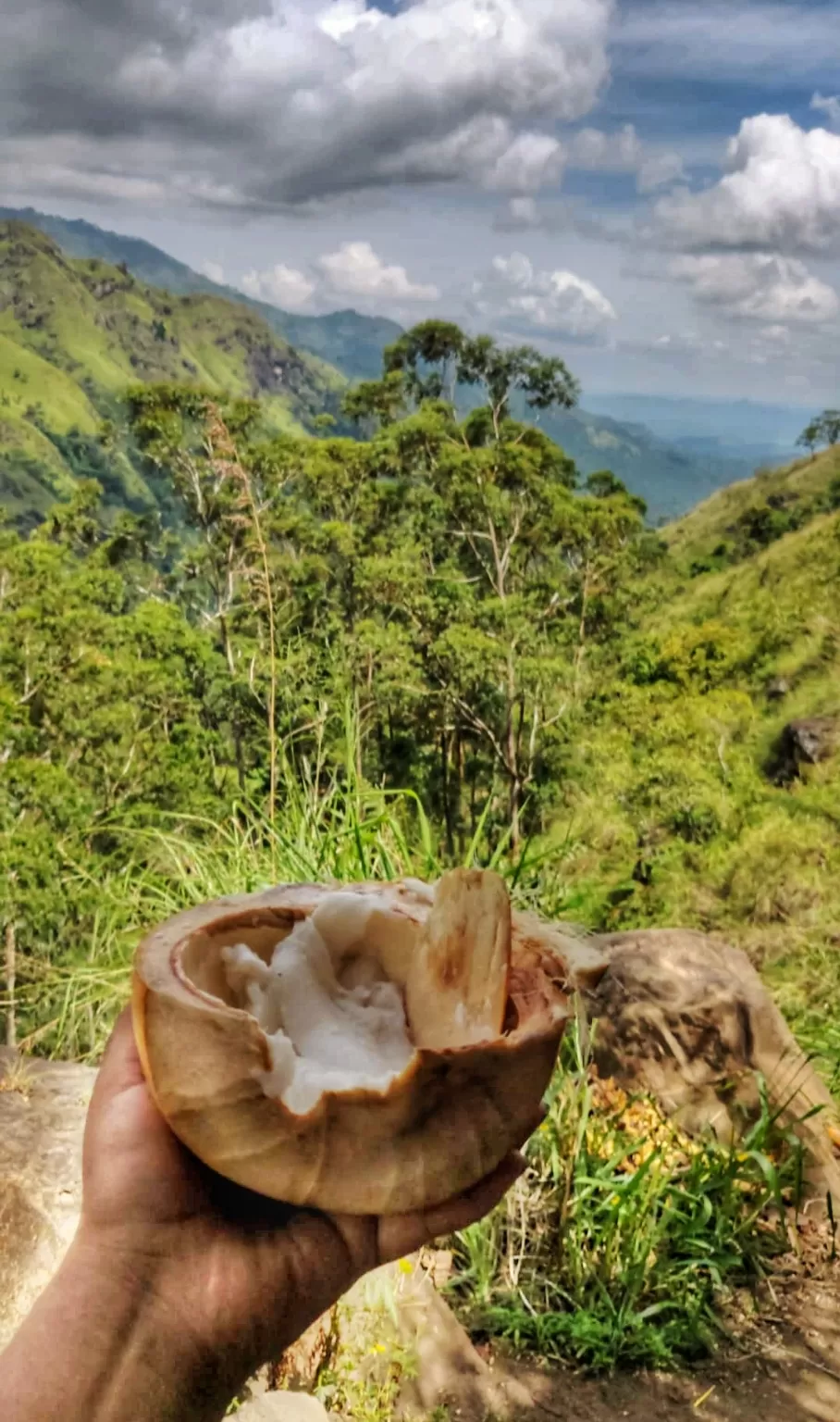 Photo of Nuwara Eliya, Sri Lanka by The Travel Pundit