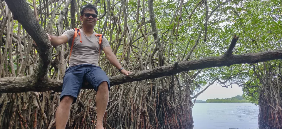 Photo of Madu Ganga , Sri Lanka by The Travel Pundit