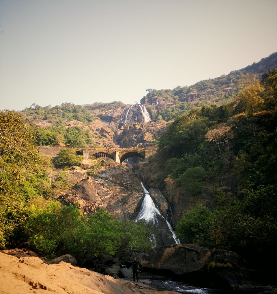 Photo of Dudhsagar Falls, Sonaulim, Goa, India by The Travel Pundit