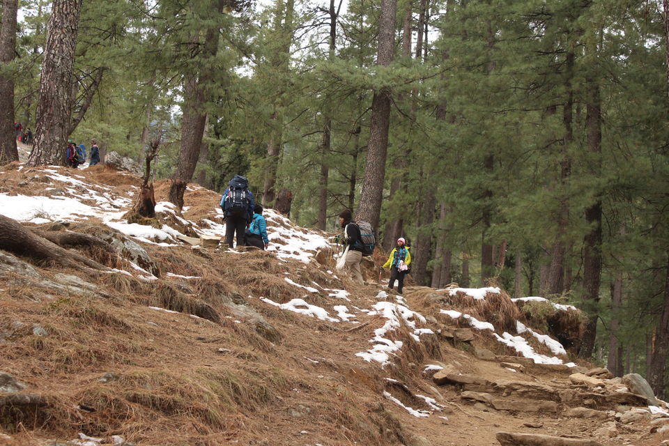 Photo of Kedarkantha: When you love the Mountains,You can always go back! by Saloni Sikdar