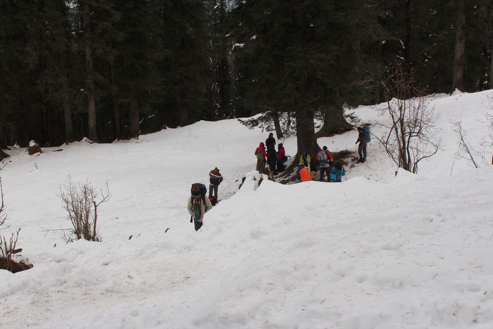 Photo of Kedarkantha Base Camp, Singtur Range, Uttarakhand, India by Saloni Sikdar