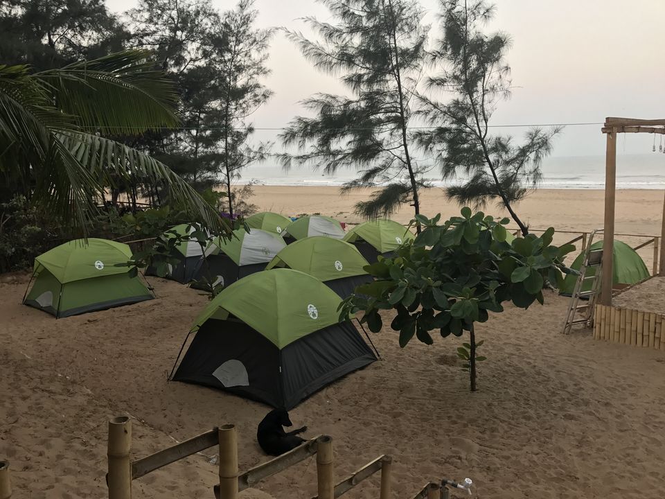 Photo of Did you know Gokarna can give you the Goa Experience at a lower budget? I'll tell you How. by Saloni Sikdar
