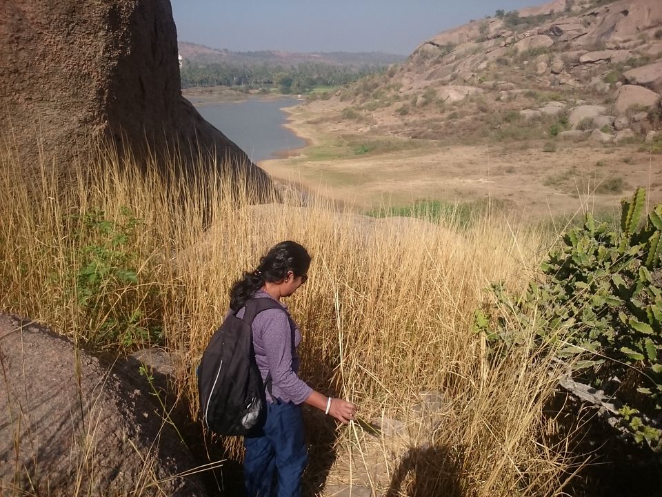Photo of Ramnagar, Karnataka, India by The Travel Pundit