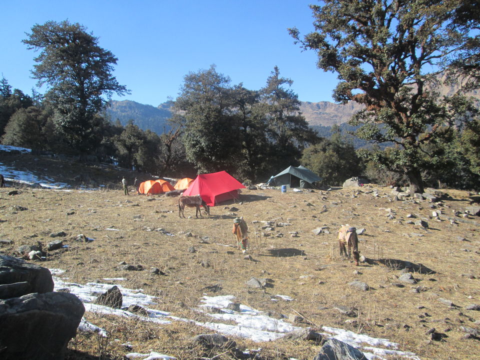 Photo of Beware of this Scamming Trek Organisation in Auli! by The Travel Pundit