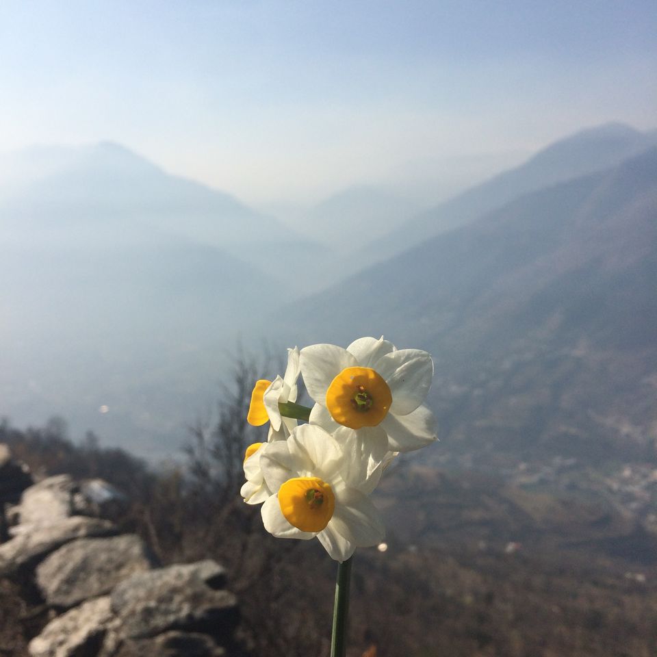 Photo of Manali, Himachal Pradesh, India by Apurva Jain