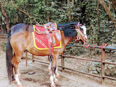 Photo of Matheran - Travel Story!!! 2/9 by TravelwithApSid