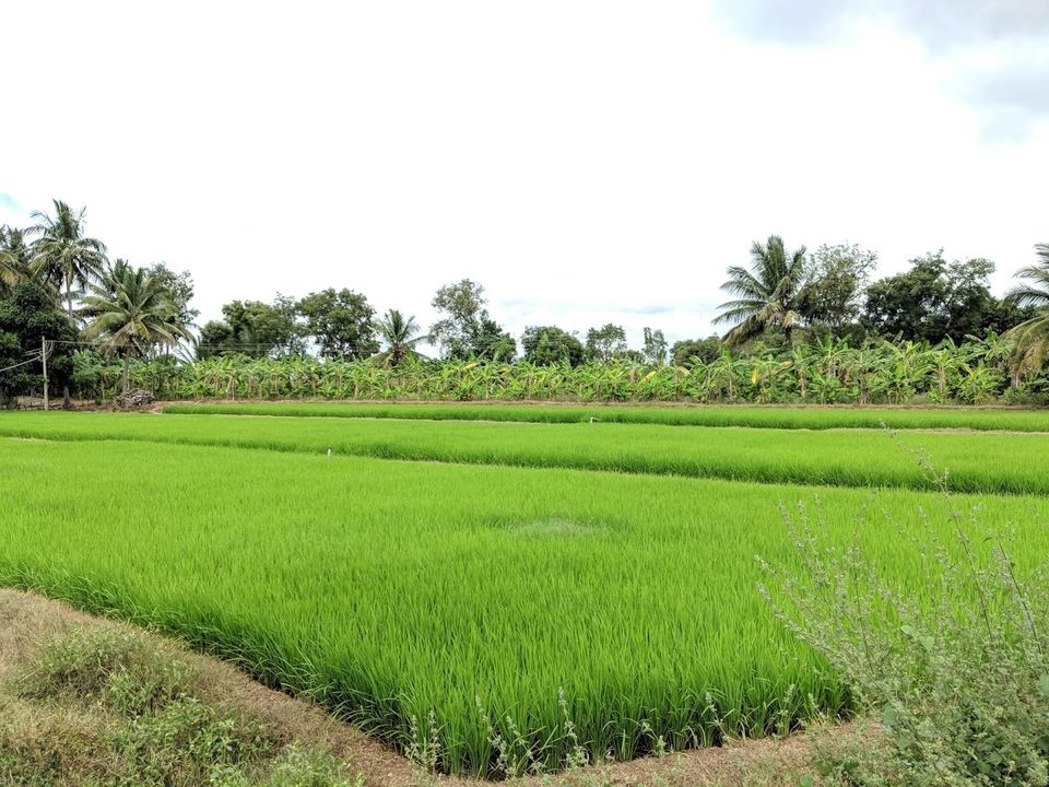 Photo of Talakadu, Karnataka, India by TravelwithApSid